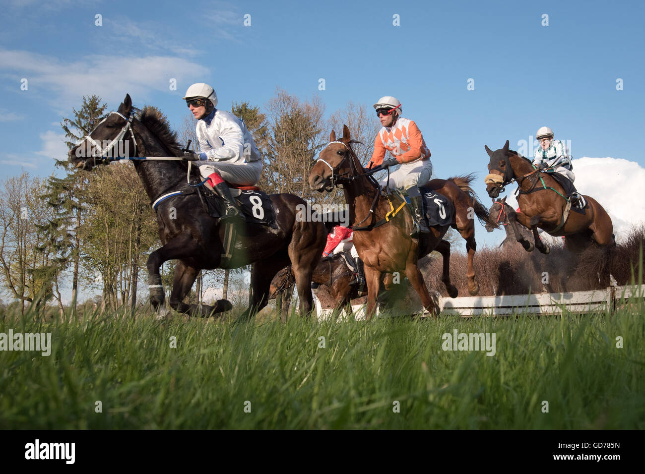 WROCLAW, POLEN - 24 APRIL; 2016: Rennen mit Zäunen für 4-jährige Pferde eine Rennbahn WTWK Partynice. Stockfoto