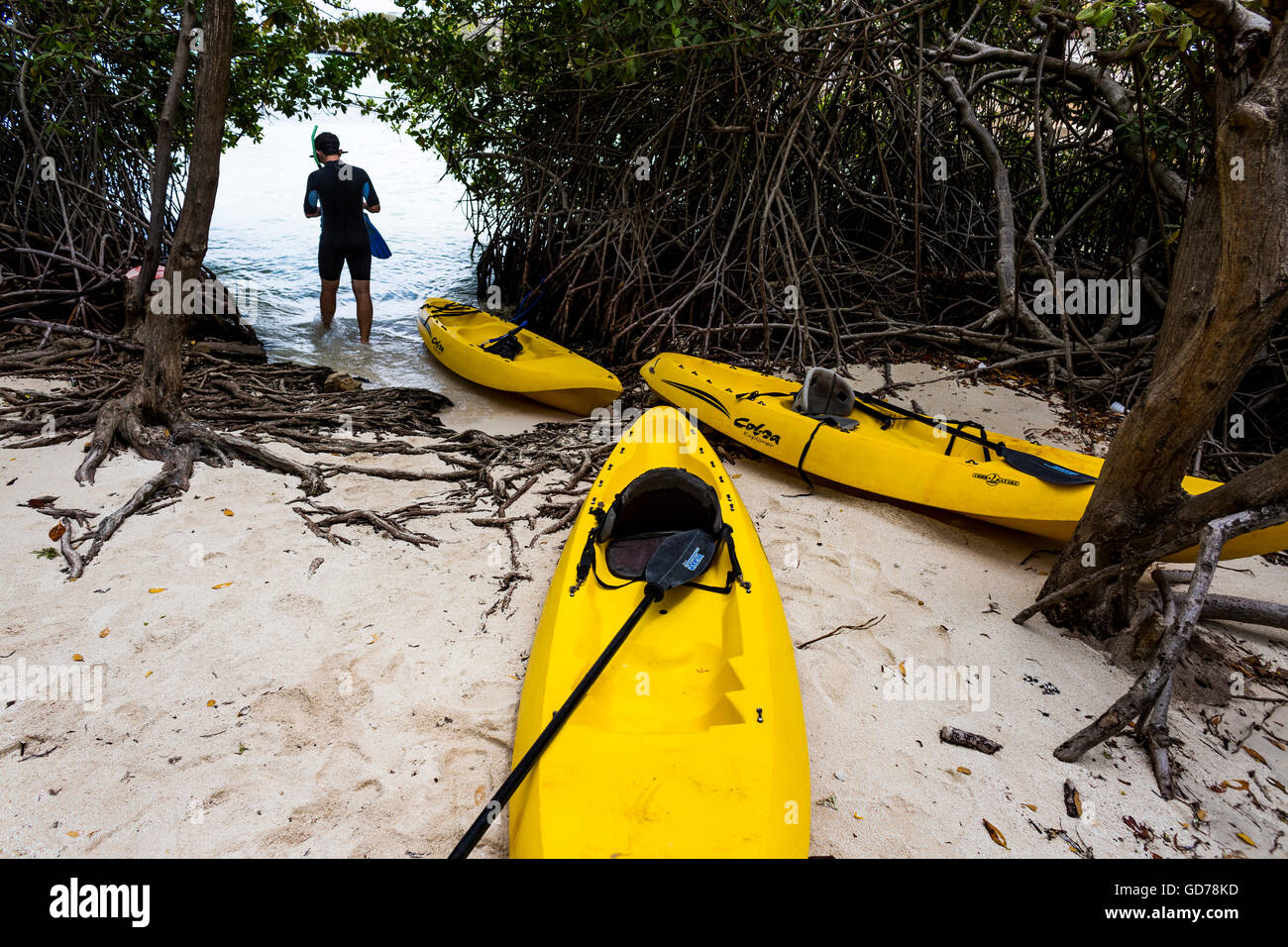 Mann in karibische Meer trug eine Maske und Schnorchel neben gelben Kajaks, Spanisch Lagune, Aruba. Stockfoto