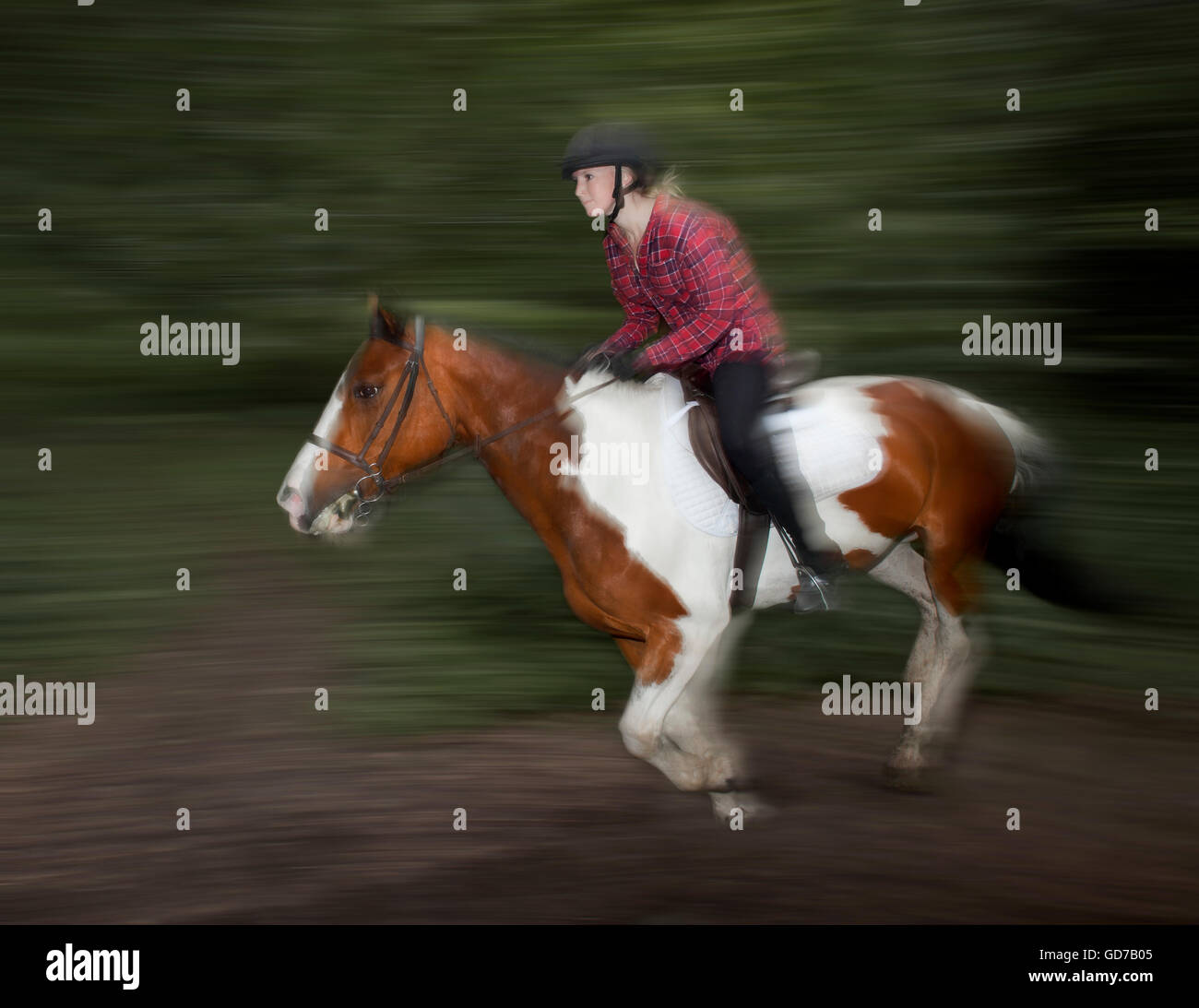 Frau ihre Skewbal Reitpferd mit Geschwindigkeit. Stockfoto