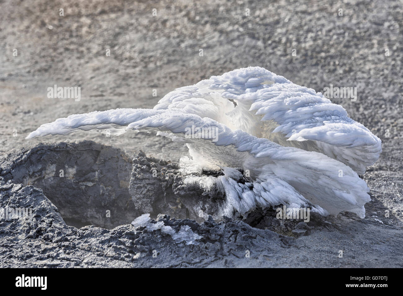 Eis-Federn erstellt durch heißen Dampf aus einem Vulkanschlot Hverir, Island Stockfoto