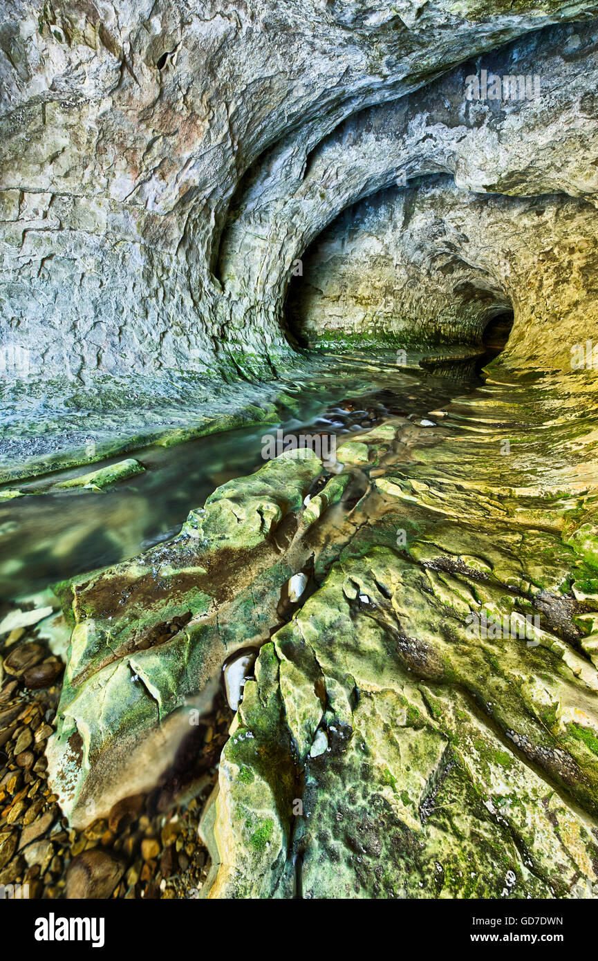 Höhle-Stream, Arthur Pass, Südinsel, Neuseeland Stockfoto