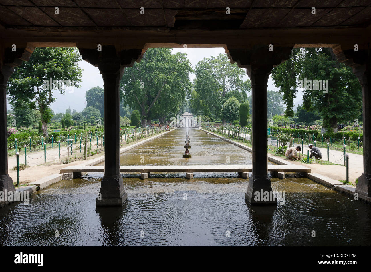 Nishat Mughal Garten, Srinagar, Jammu und Kaschmir, Indien Stockfoto