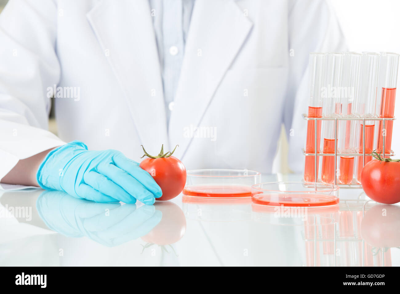 Asiatische Wissenschaftlerin testen Gentechnik Essen in Ordnung sein für den menschlichen Stockfoto