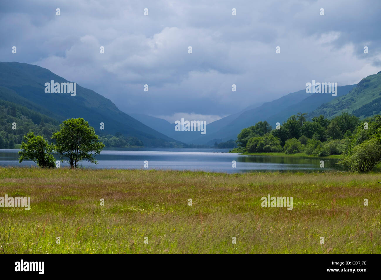 Schottische Wildblumenwiese mit Loch Voil und weiche grün- und Blautöne von malerischen Hügeln und Schluchten in den Hintergrund. Stockfoto