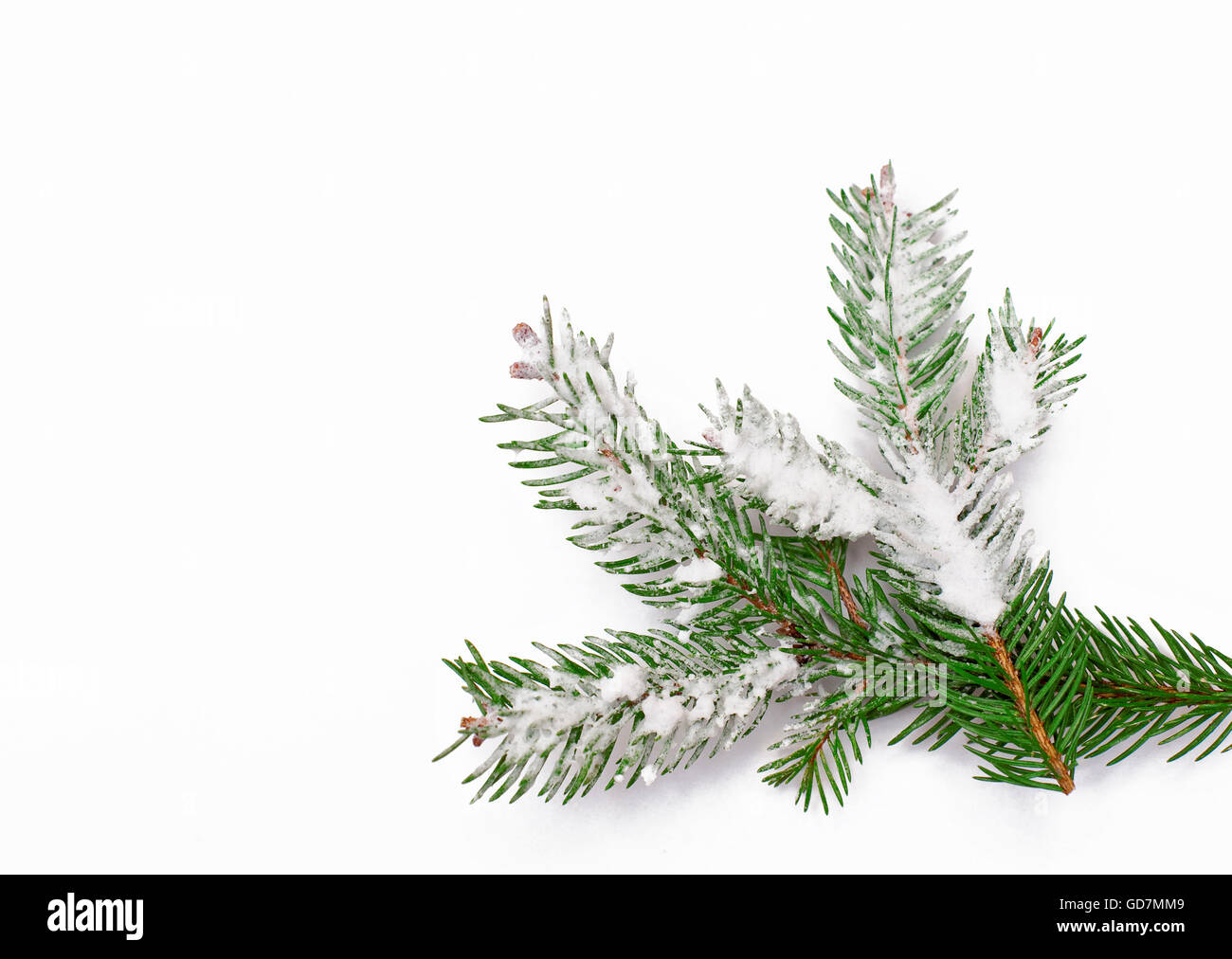 Winter Hintergrund mit Schnee bedeckten Baum Stockfoto