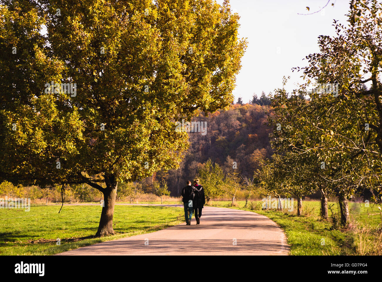 Wandern im Herbst Park Liebhaber Stockfoto