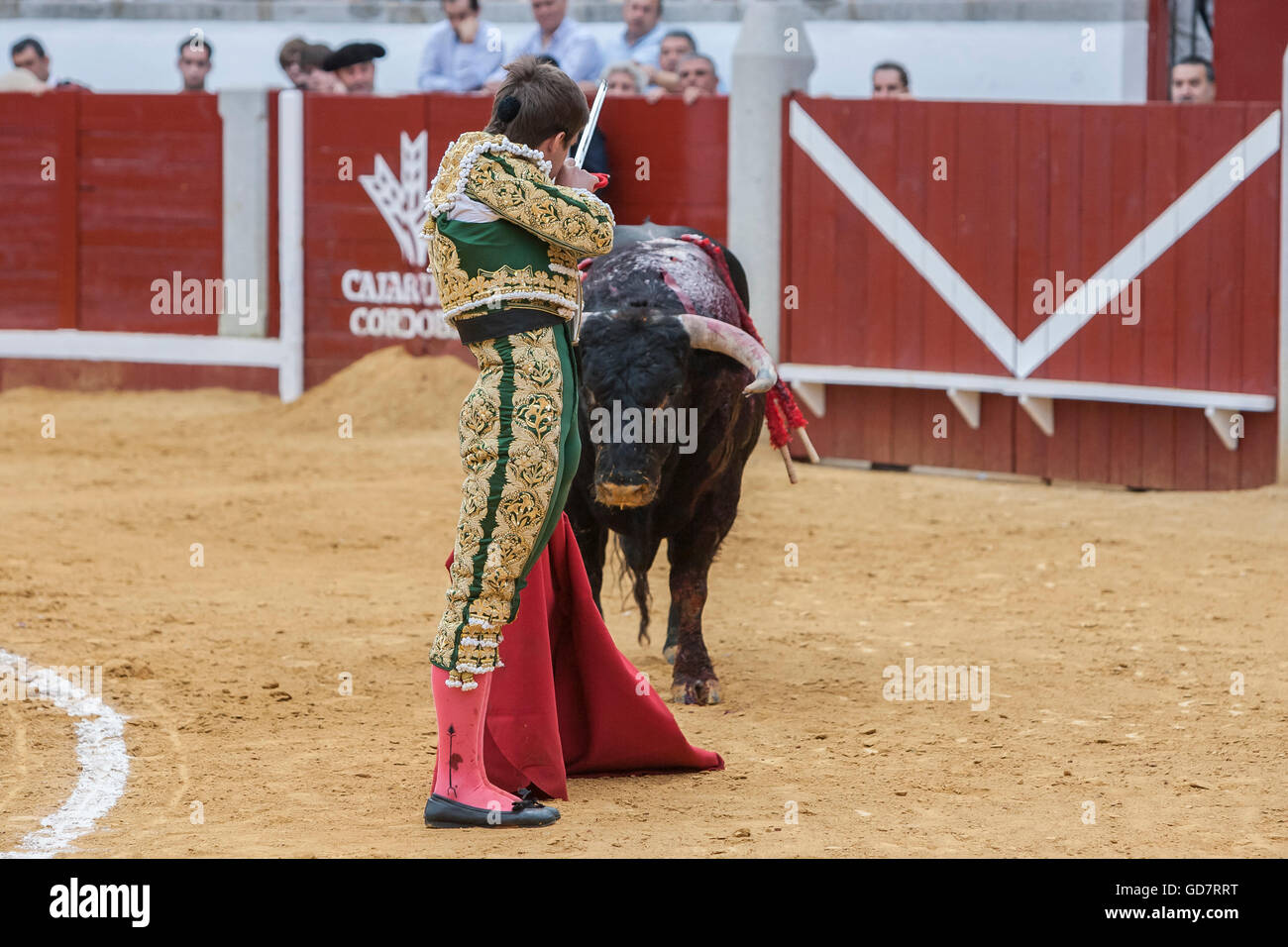 Die spanischen Torero Julian Lopez El Juli bereitet einen Stier mit seinem Schwert in der Stierkampfarena Pozoblanco, Spanien zu töten Stockfoto