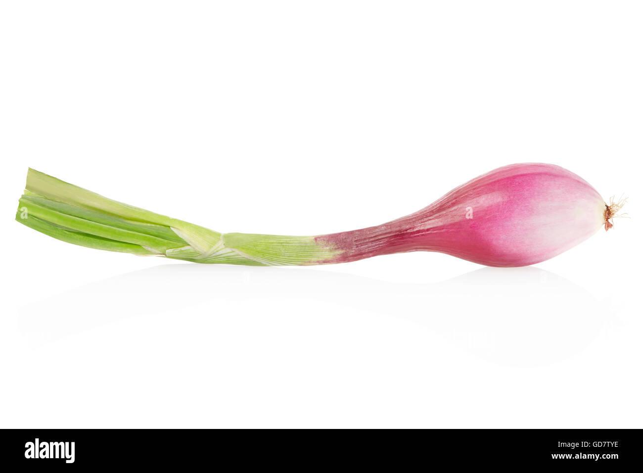 Rote Zwiebel, Tropea Art, isoliert auf weiss, Clipping-Pfad Stockfoto