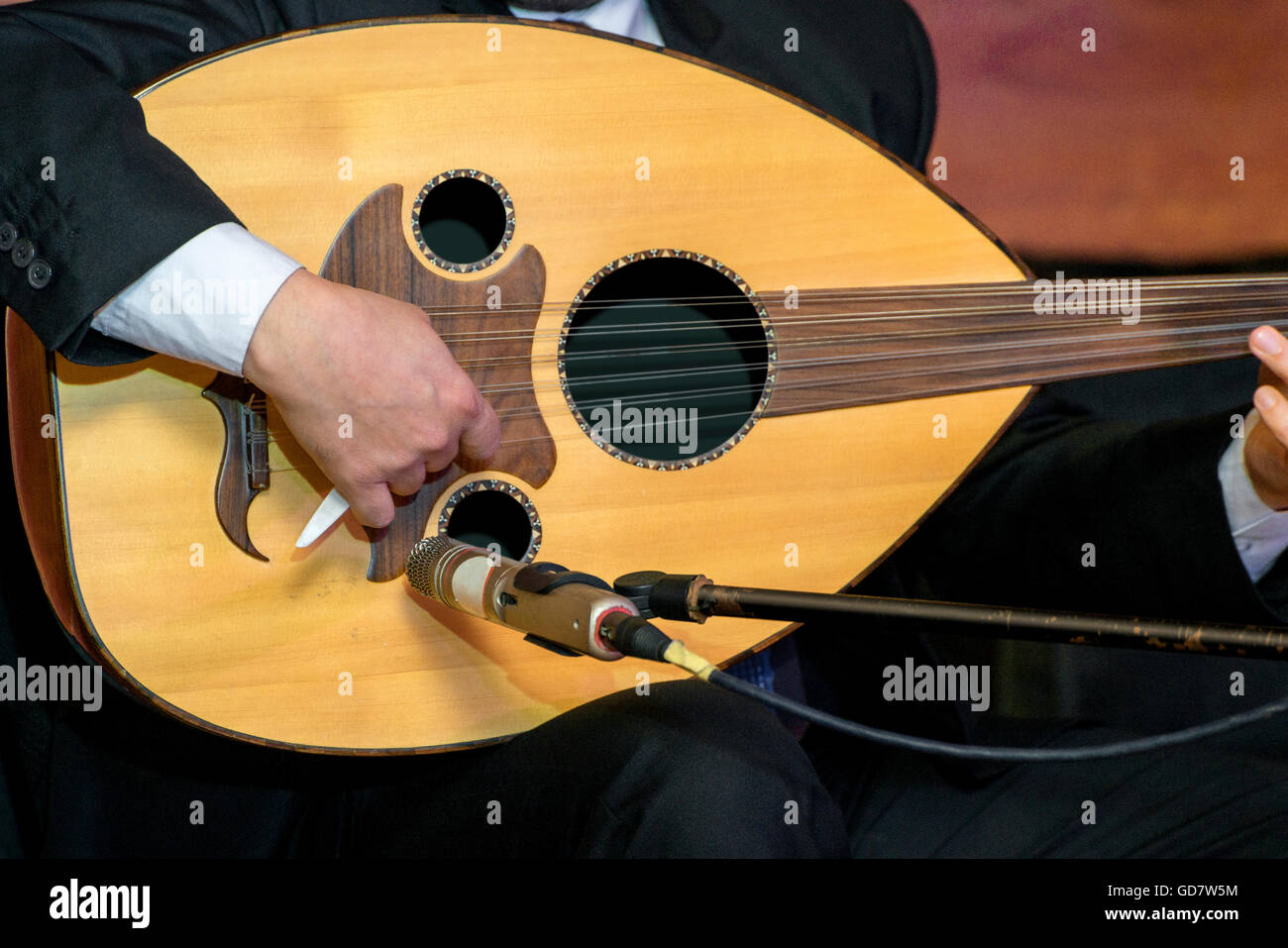 Ein Lautenspieler, eine Note zu spielen, während arabische Musikkonzert Stockfoto