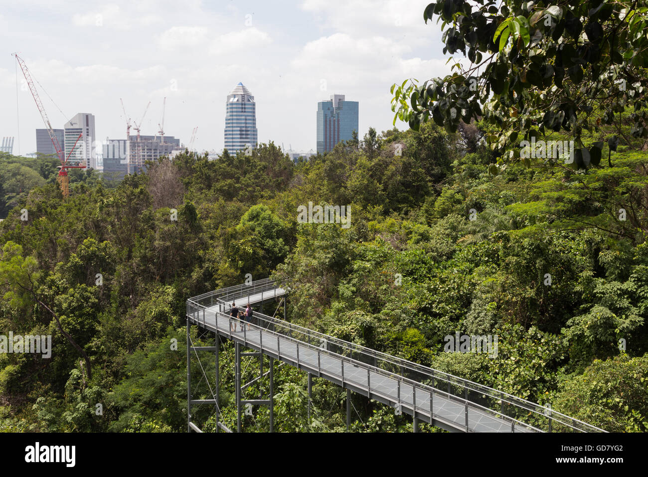 Singapur, Singapur - 1. Februar 2015: Menschen genießen Sie einen Spaziergang auf der überdachunggehweg in den südlichen Kanten. Stockfoto