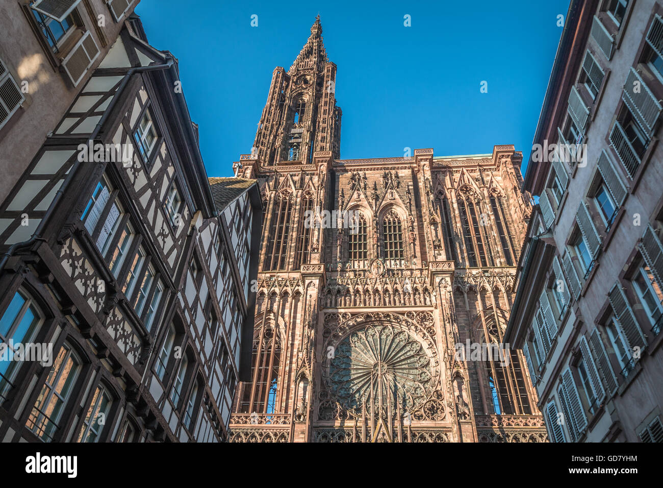 Straßburger Münster Stockfoto