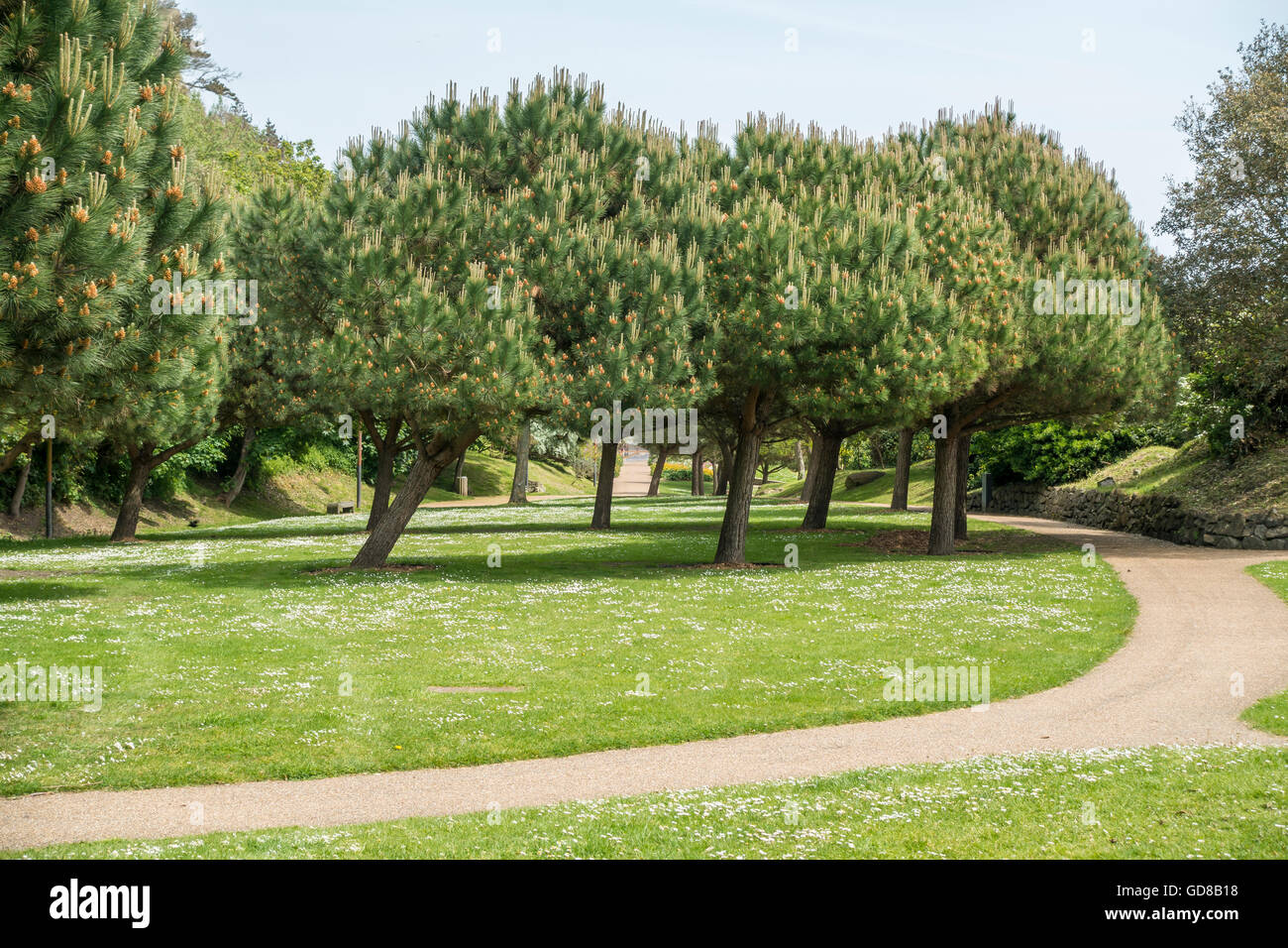 Leas lineare Coastal Park Gardens Folkestone Kent Stockfoto