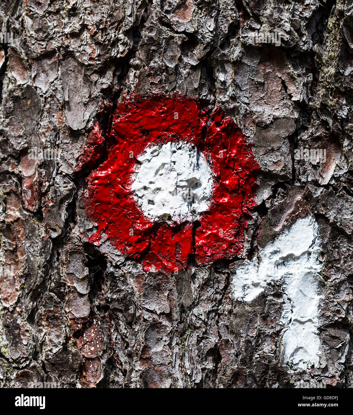 Baum-Mark mit einer Reihe an einem Baum für die Menschen zu orientieren. Stockfoto