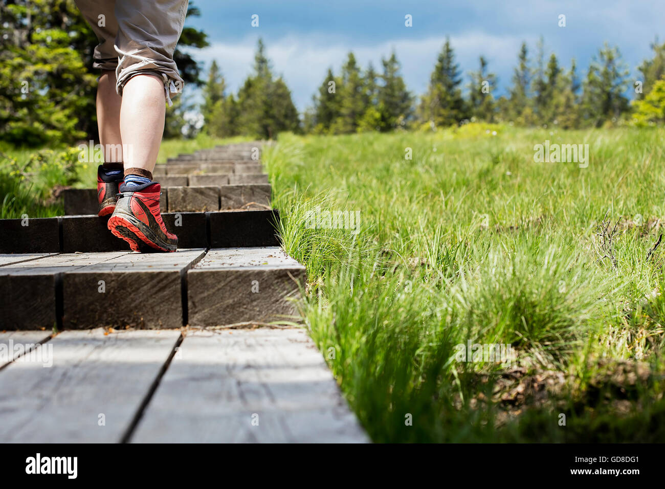 Frau ist auf einem hölzernen Pfad gehen. Stockfoto
