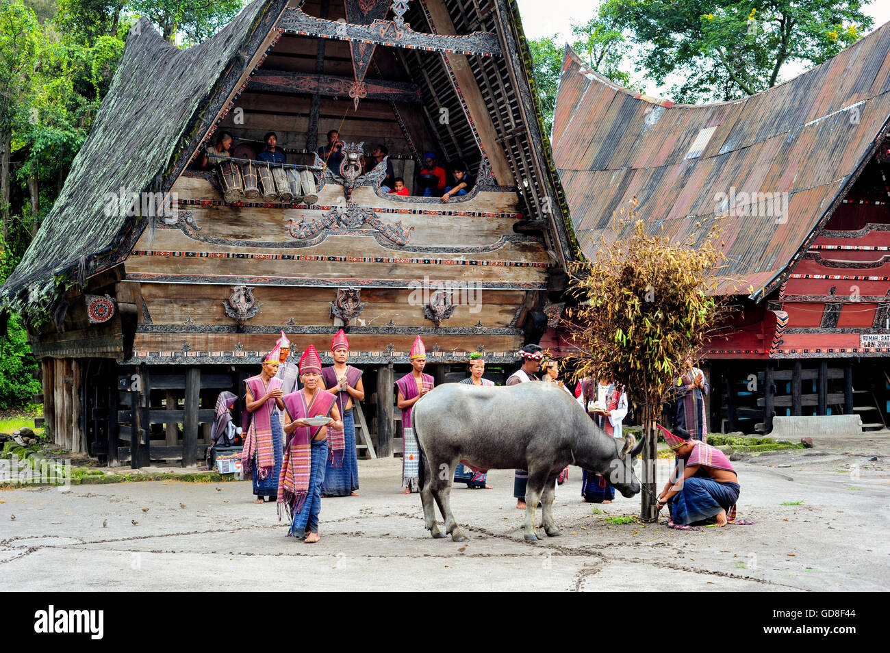 Traditionellen Batak Tänzerinnen einen zeremoniellen Tanz in Bolon Simanindo Batak Museumsdorf. Batak steht für die ethnischen peo Stockfoto