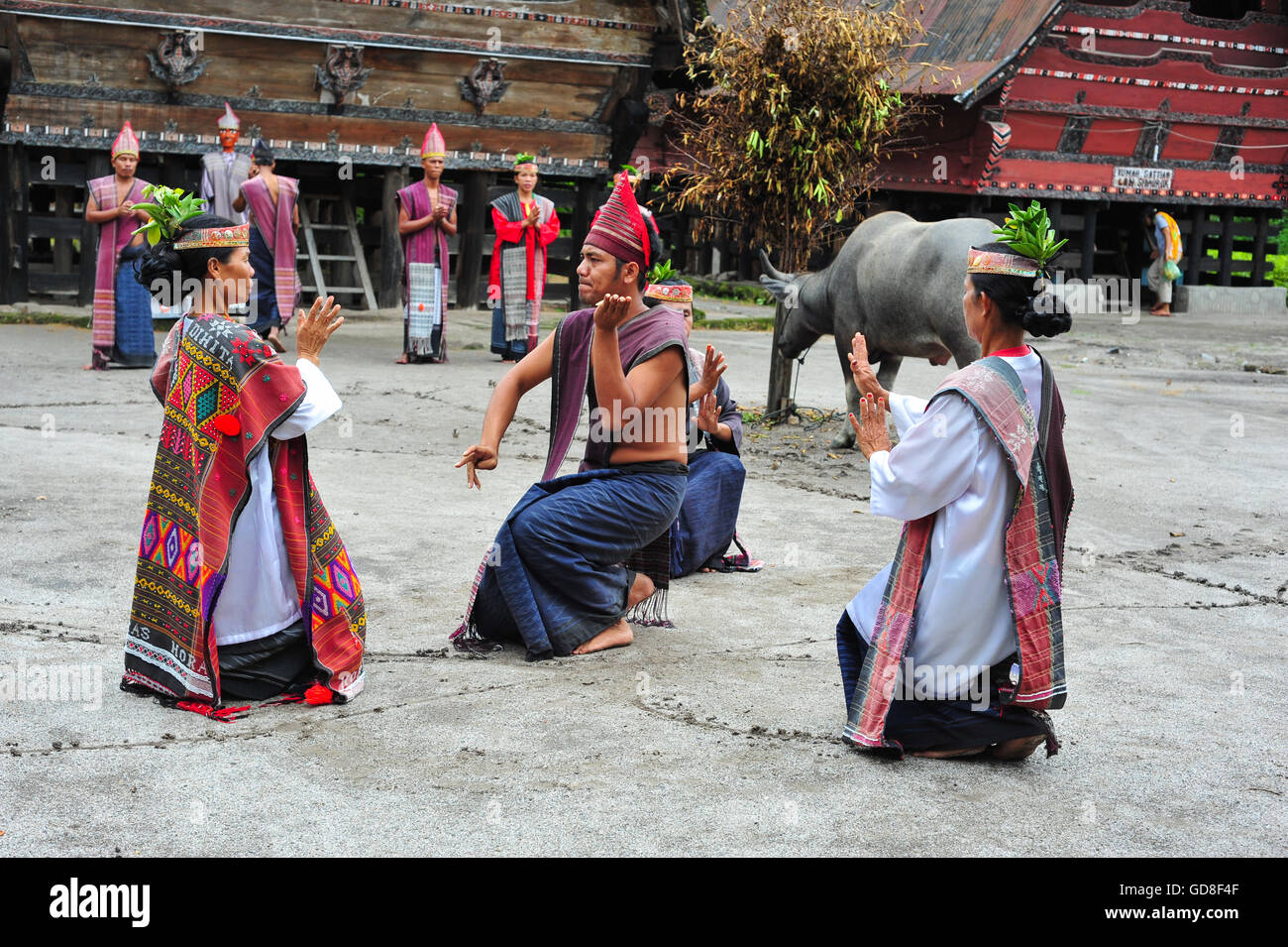 Traditionellen Batak Tänzerinnen einen zeremoniellen Tanz in Bolon Simanindo Batak Museumsdorf. Batak steht für die ethnischen peo Stockfoto