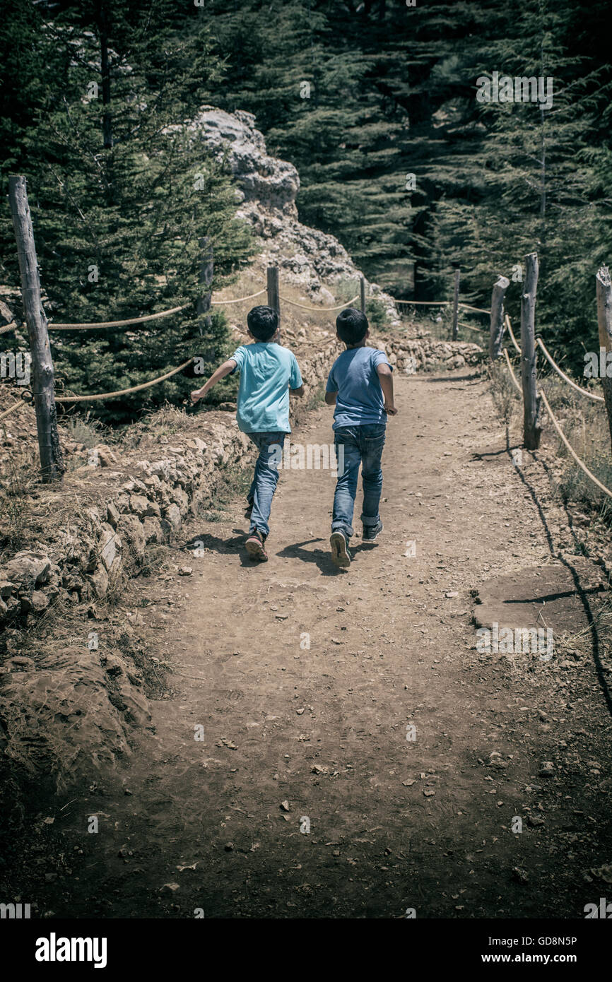 Zwei jungen weglaufen im Wald Stockfoto