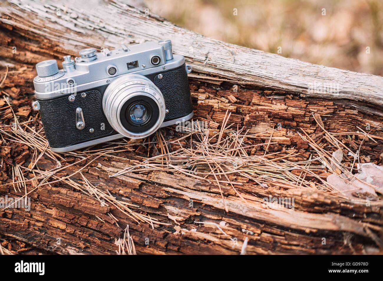 35mm Vintage alte Retro kleinformatigen Messsucherkamera auf alten gefallenen Holz Baum im Wald. Stockfoto