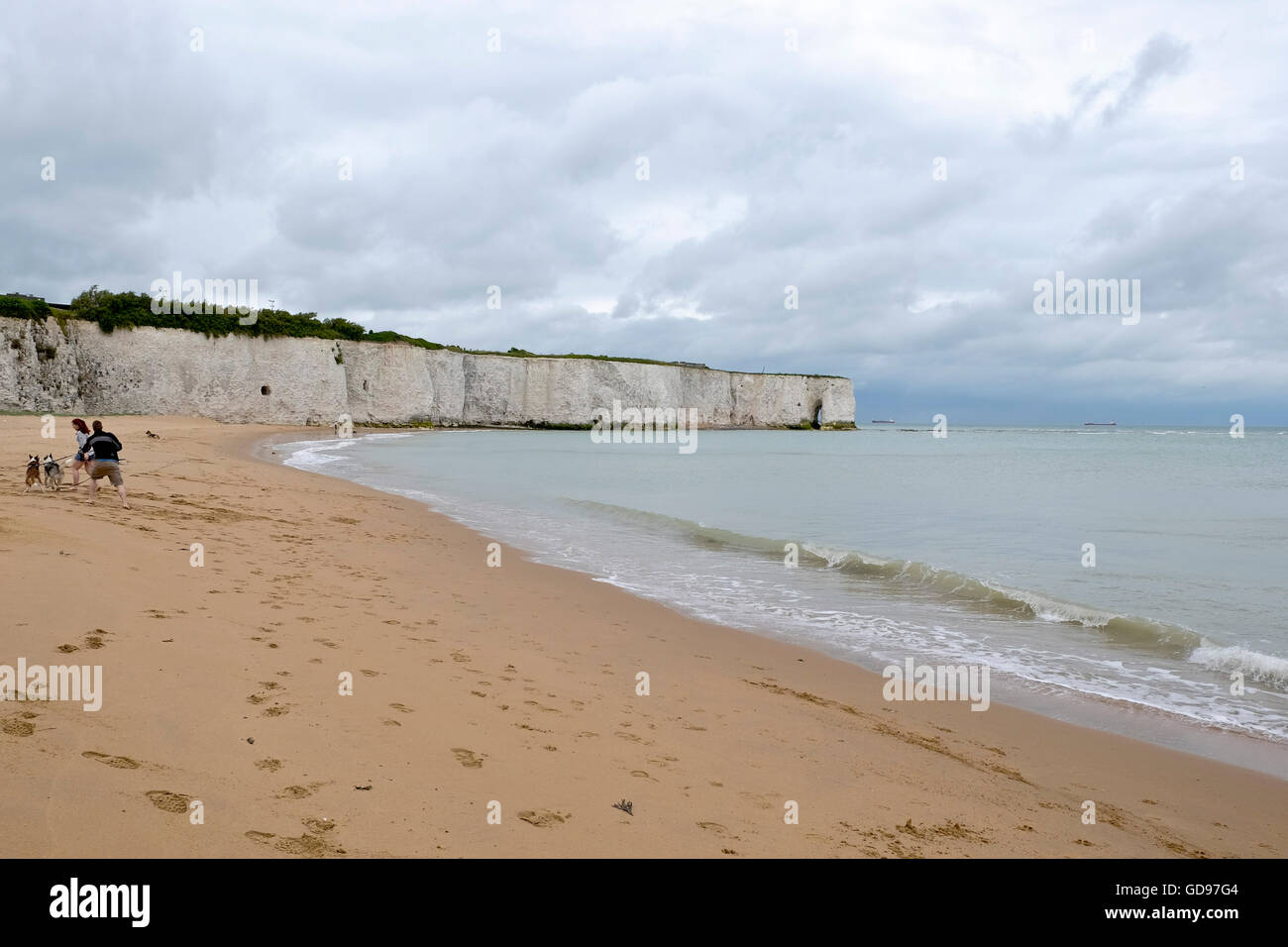 Menschen zu Fuß ihre Hunde am Strand von Kinsgate Bay Strand Broadstairs Kent Stockfoto