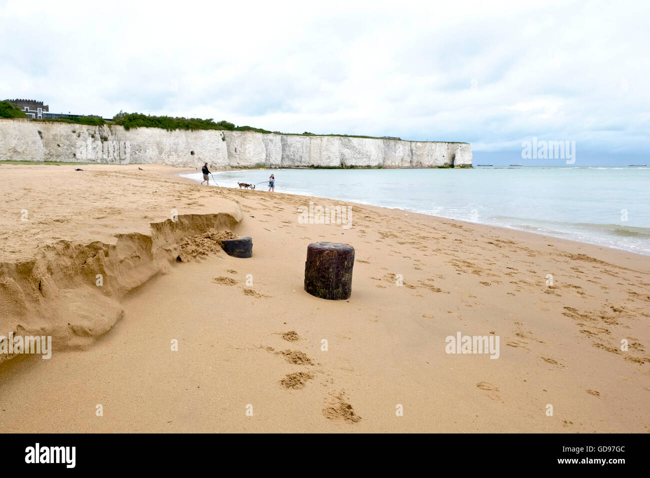 Menschen zu Fuß ihre Hunde am Strand von Kinsgate Bay Strand Broadstairs Kent Stockfoto