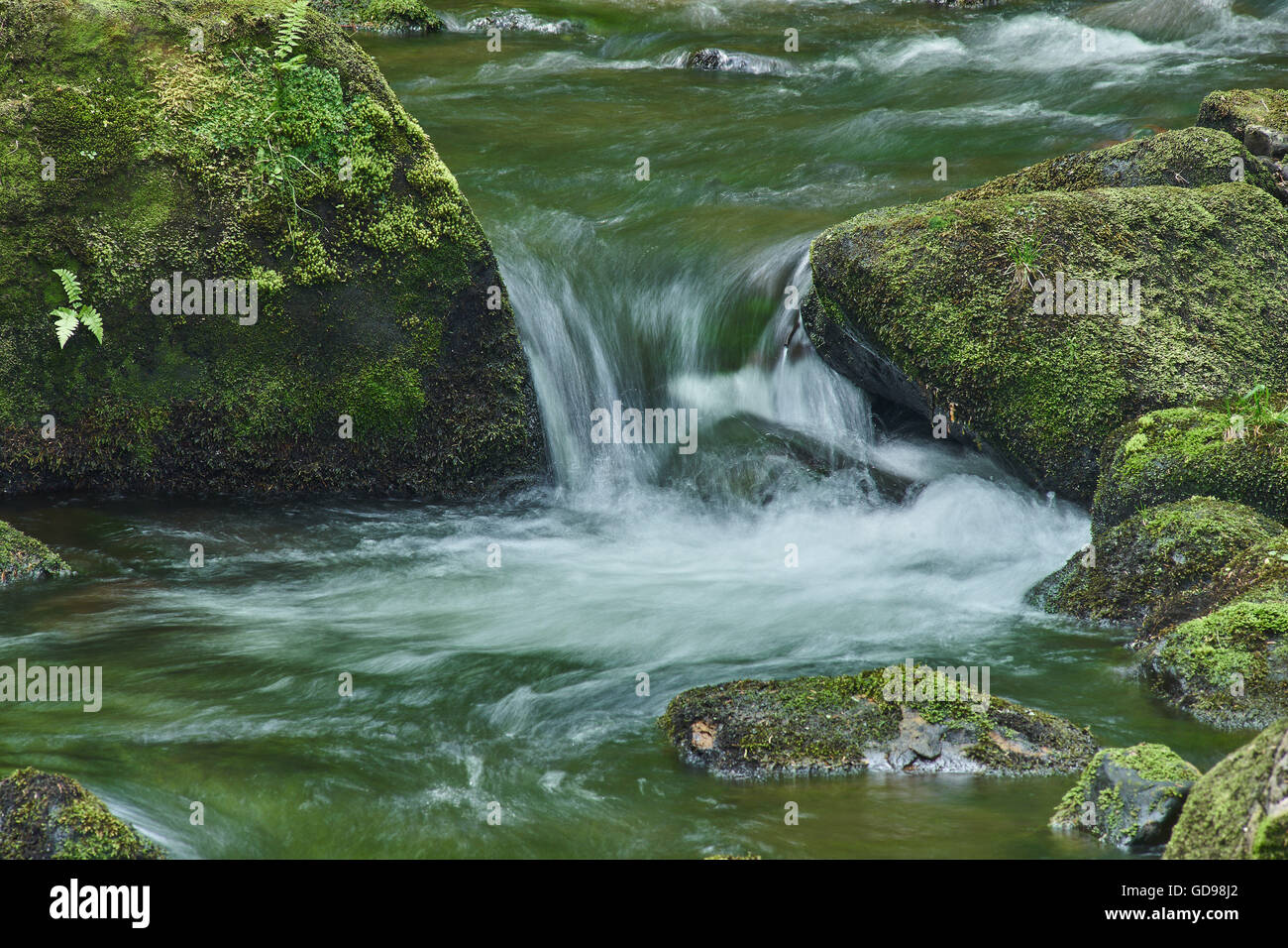 Bergwasser Fluss fließt durch Grün bemoosten Steinen Felsbrocken Stockfoto