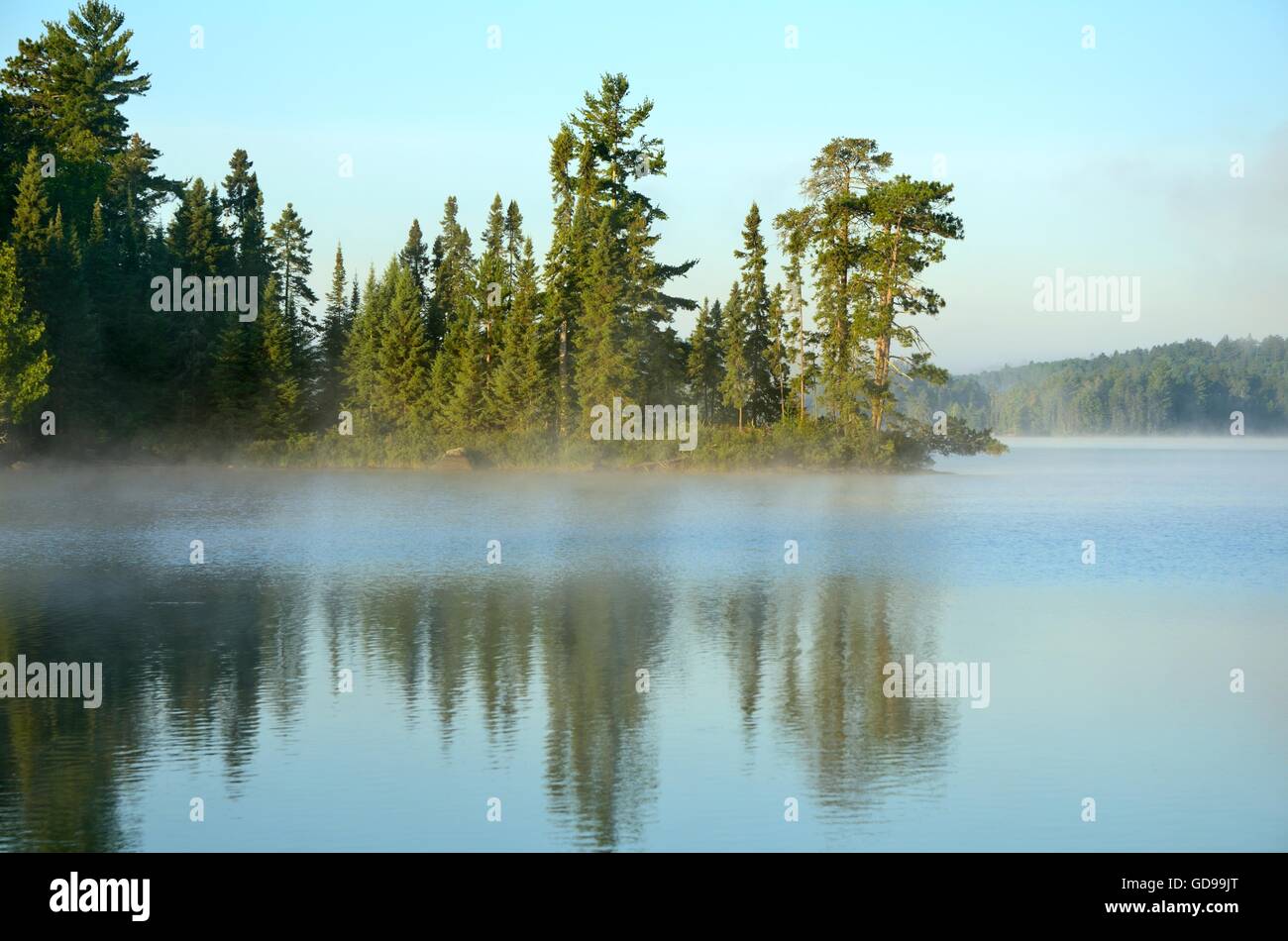 Reflexionen von den Nadelwald an einem nebligen Wildnis-See Stockfoto