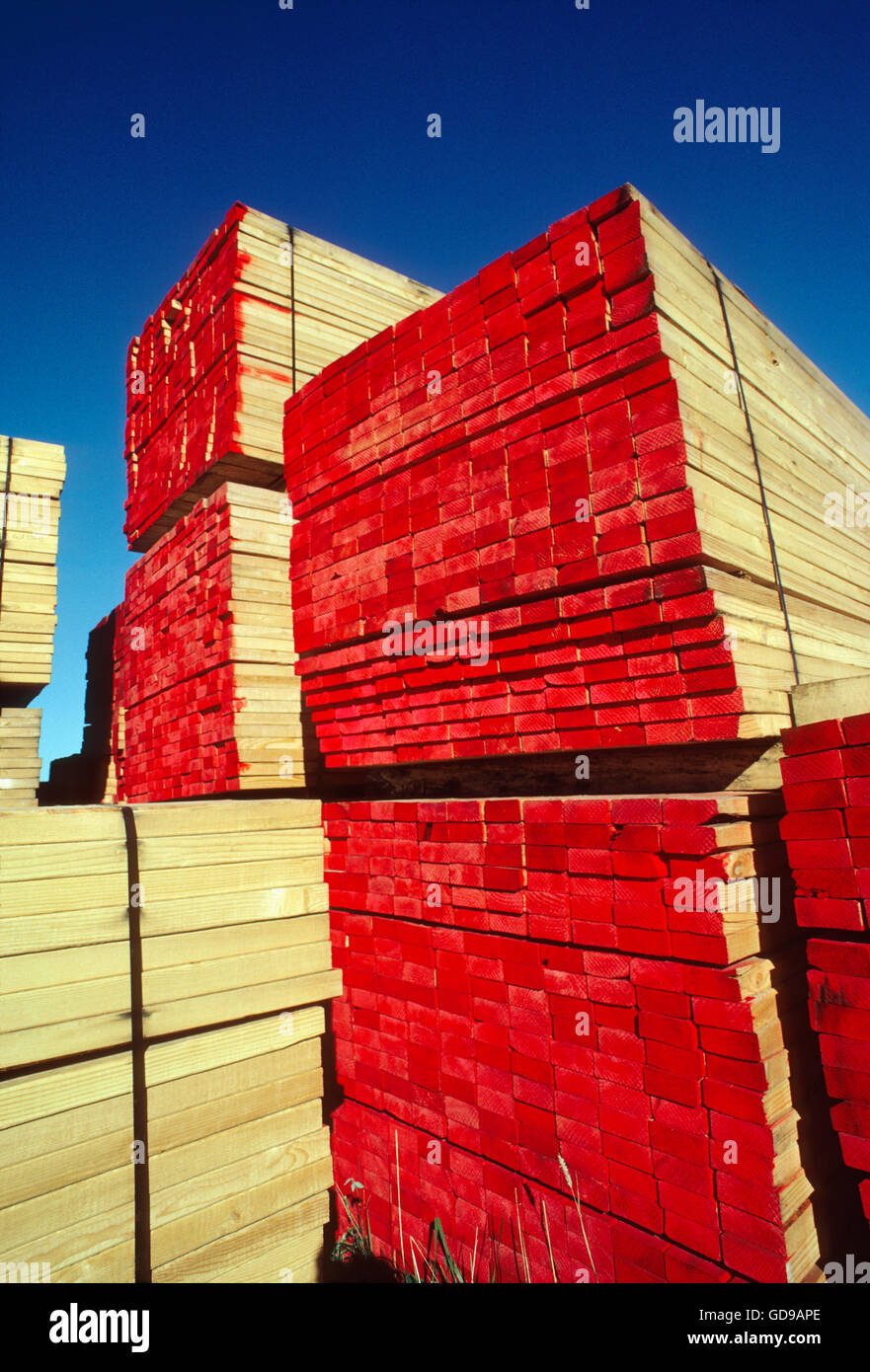 Großen Stapel von Holz; Holzlager Lager Stockfoto
