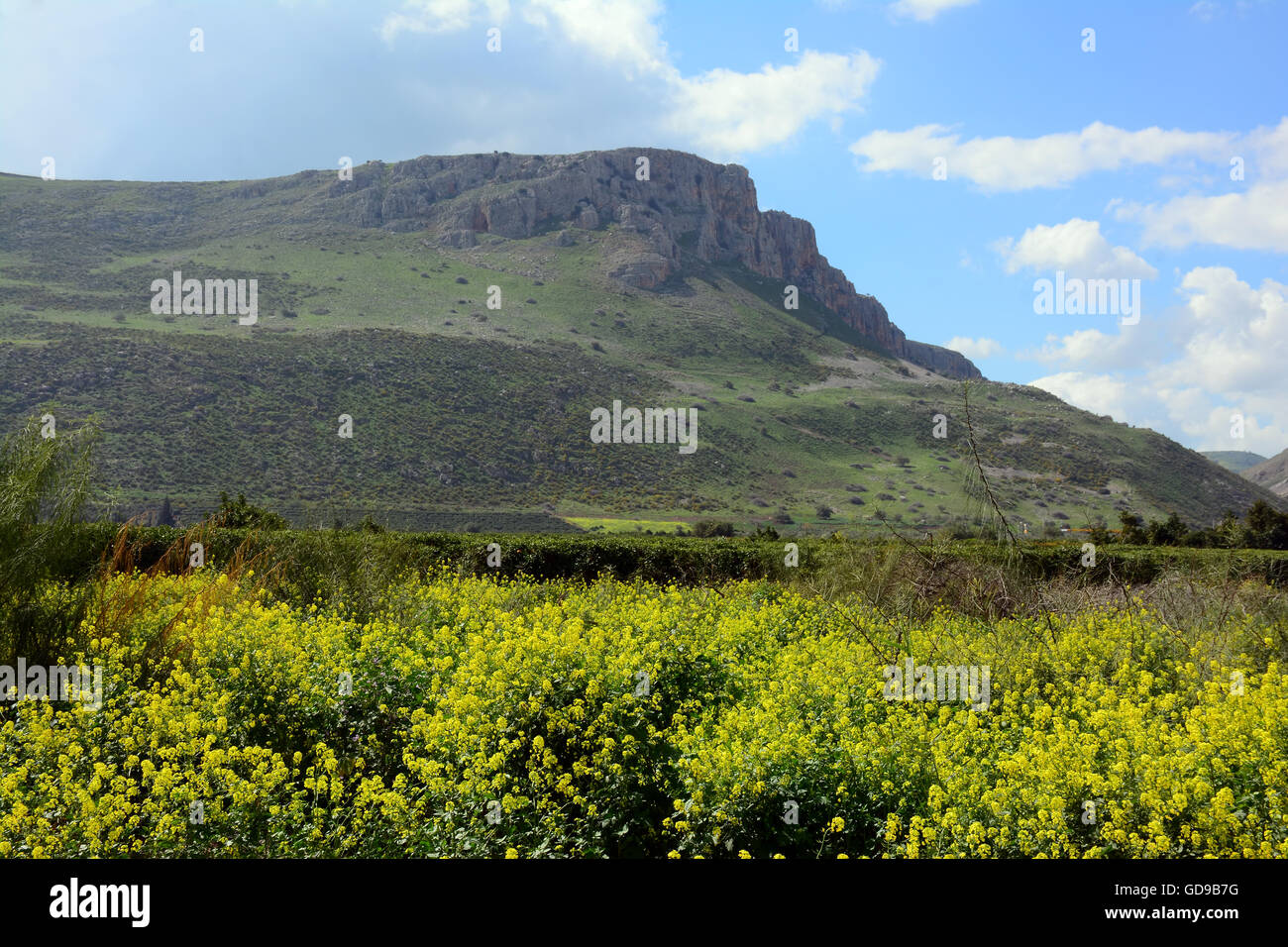 Berg Arbel im Frühling, Israel Stockfoto