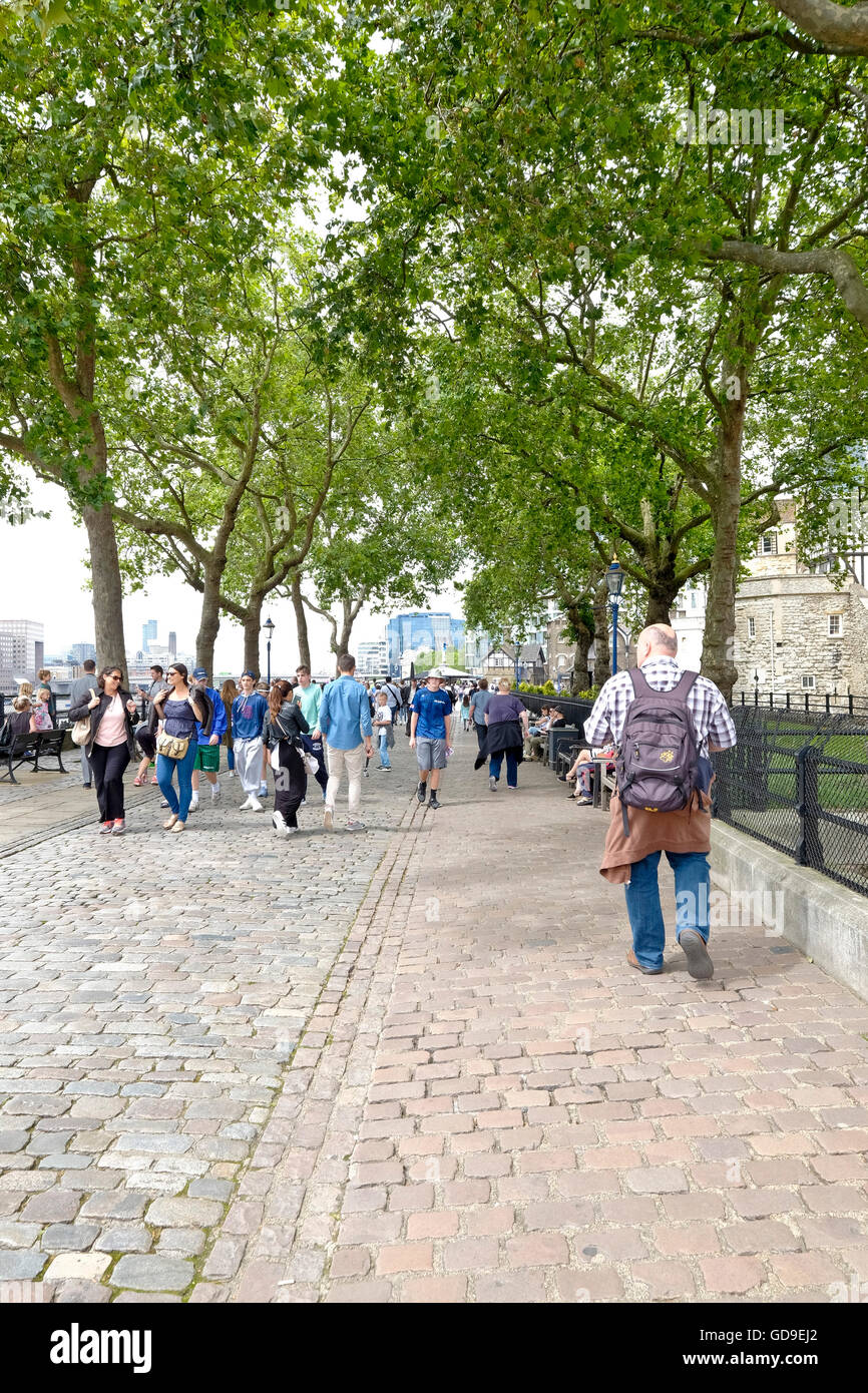 Touristen gehen unter den Bäumen am Victoria Embankment entlang der Themse... London Tower ist ein Londoner Wahrzeichen auf der rechten Seite im Hintergrund. Stockfoto