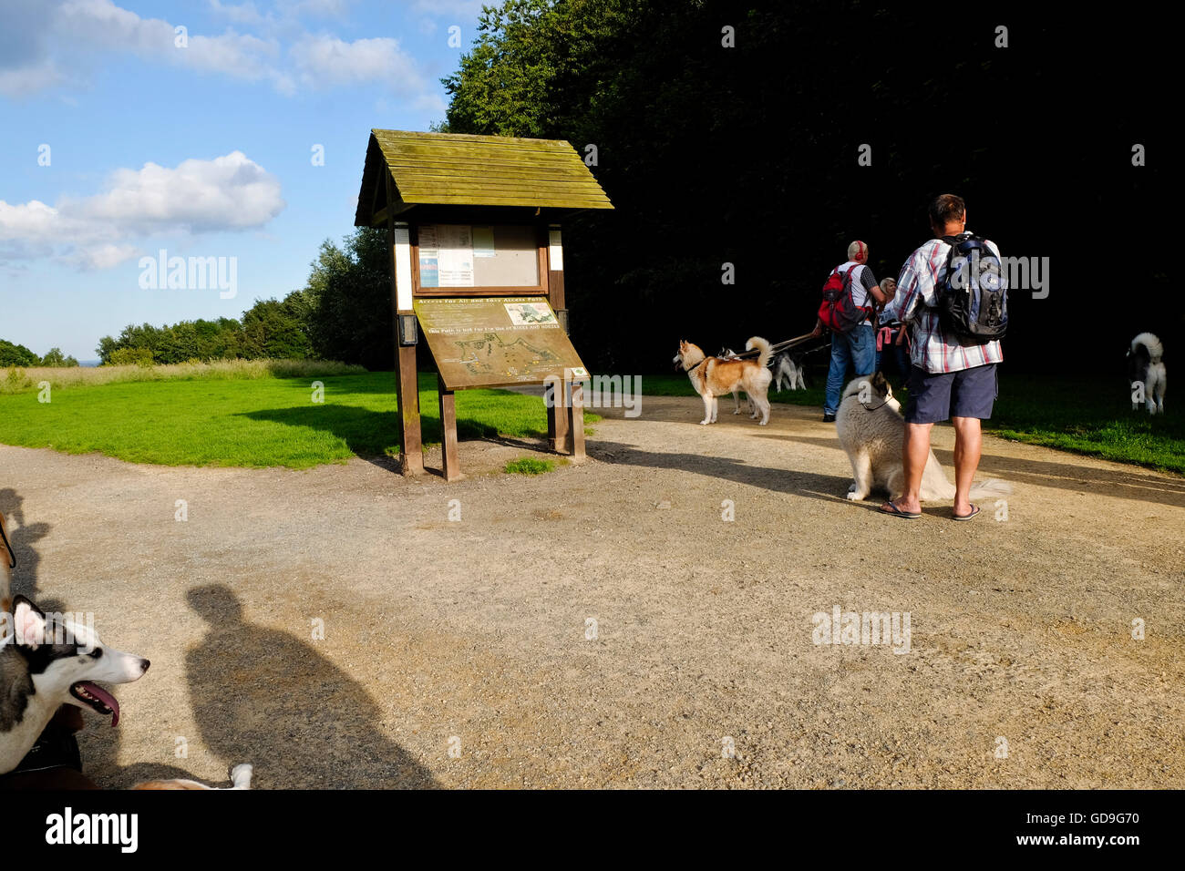 Hundebesitzer versammeln sich an einer Besucher-Informationstafel an Langdon Hills County Park in Essex England UK Stockfoto