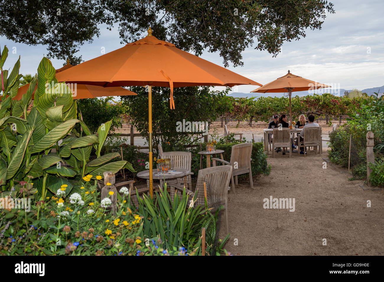 Menschen, Touristen, Outdoor-Weinprobe, Weinverkostung, Saintsbury Weingut Carneros Region, Napa Valley, Kalifornien Stockfoto