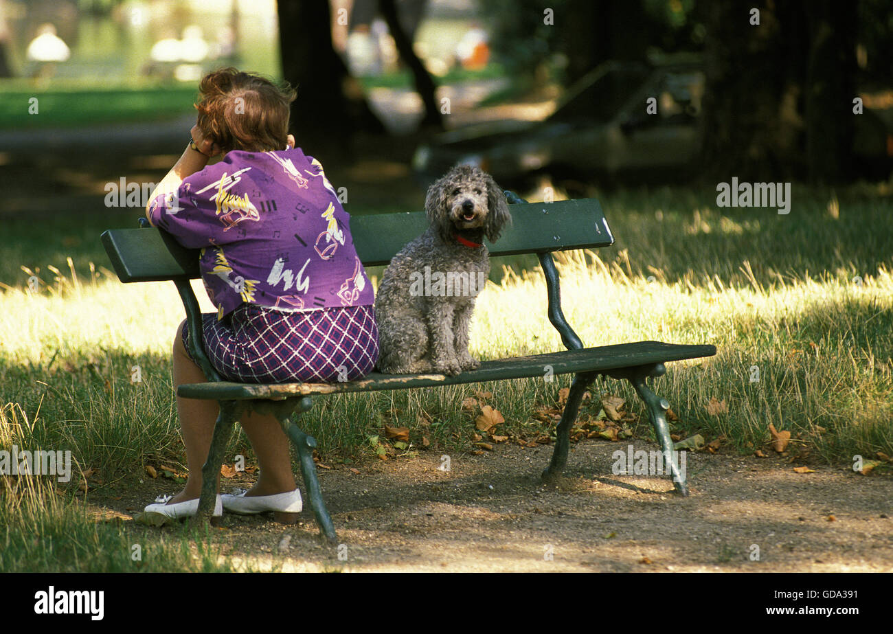 FRAU MIT IHREM ALTEN PUDEL SITZT AUF EINEM PARK-BECH Stockfoto