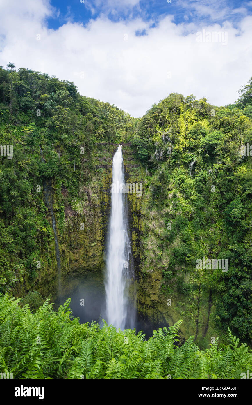Akaka Wasserfälle auf Big Island, Hawaii Stockfoto