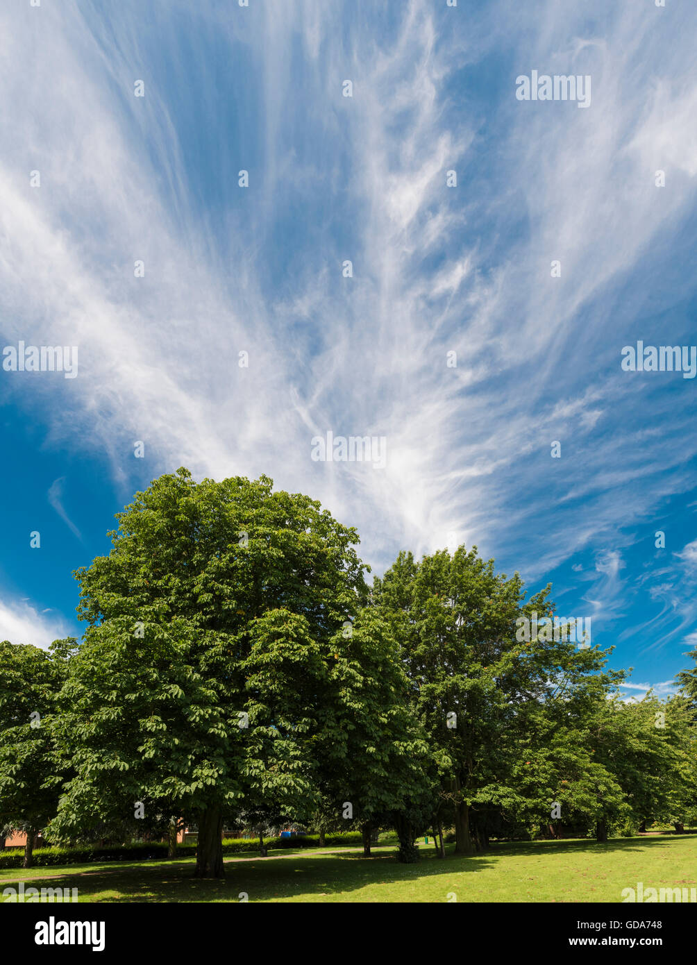Spektakulären Wolkenformationen über Central Park, Peterborough, Cambridgeshire, England Stockfoto