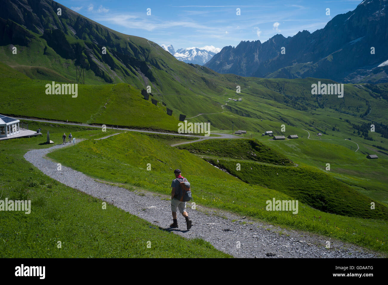 Schweiz. Berner Oberland. Juli 2016Walking von FIRST über Grindelwald in den Schweizer Alpen, Grosse Scheidegg im Regen Stockfoto