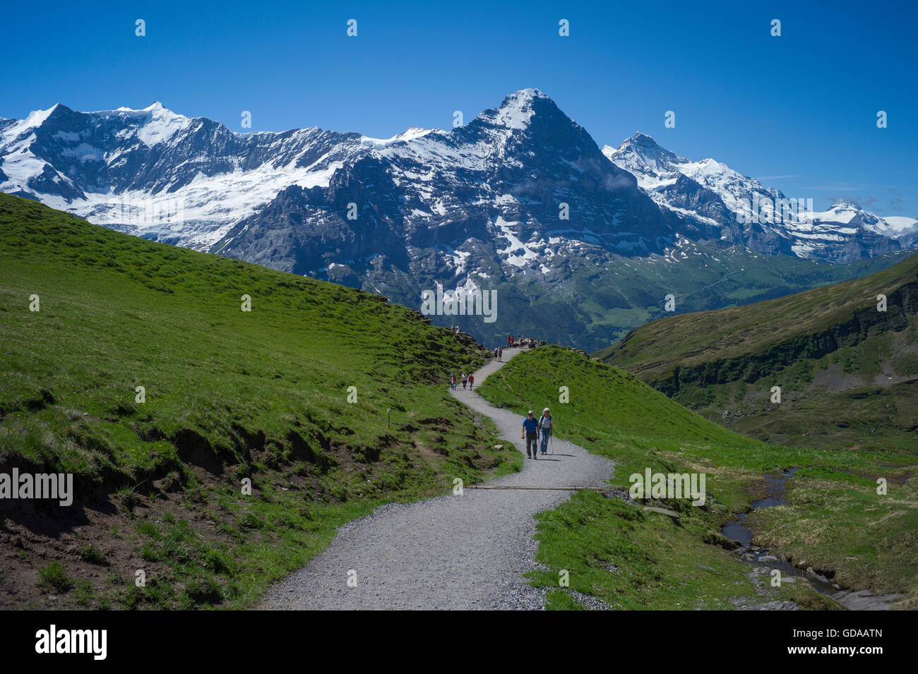 Schweiz. Berner Oberland. Juli 2016Walking von FIRST über Grindelwald in den Schweizer Alpen auf See Bachalpsee Stockfoto