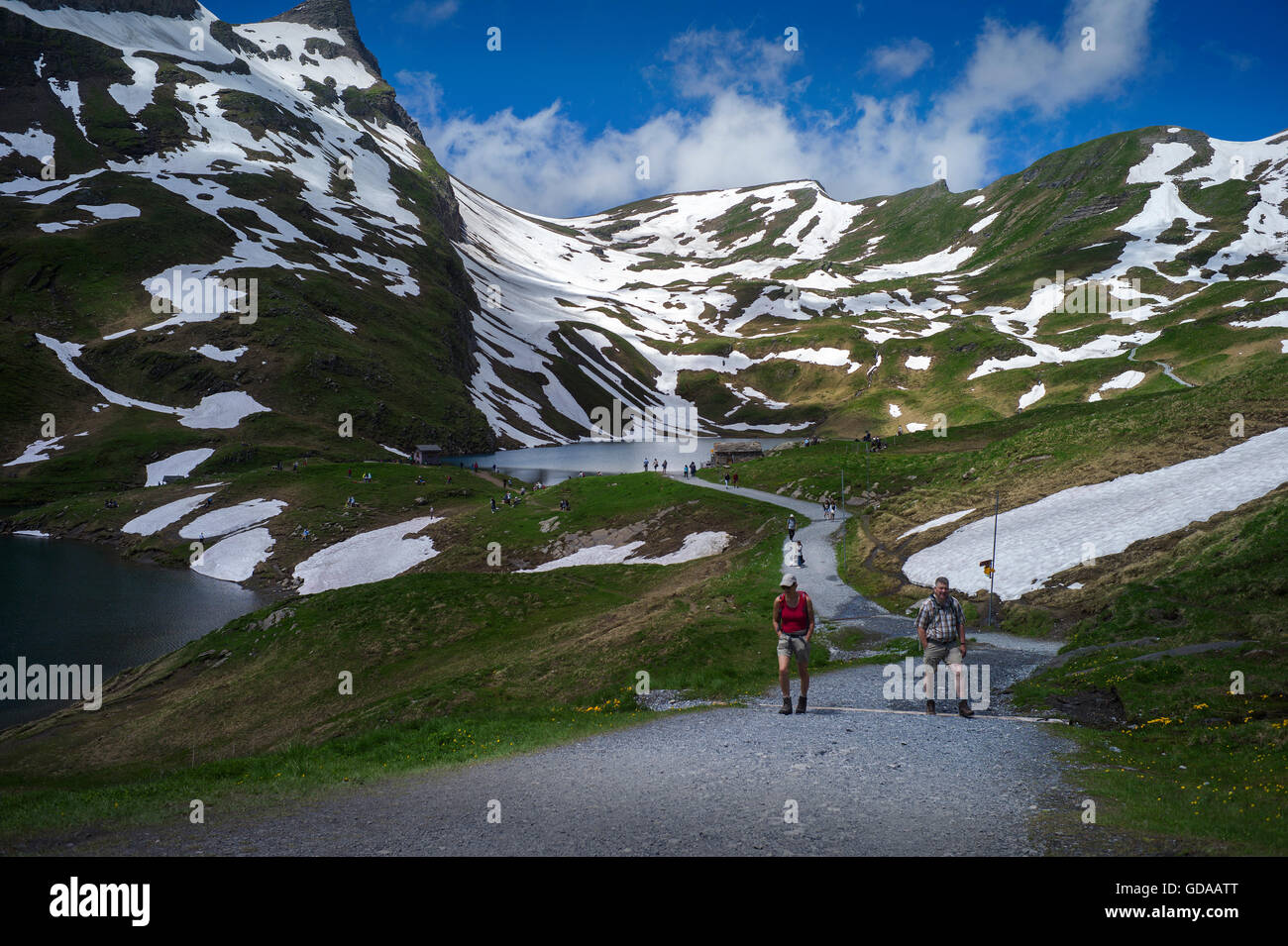 Schweiz. Berner Oberland. Juli 2016Walking von FIRST über Grindelwald in den Schweizer Alpen im Berner Oberland zum See Stockfoto