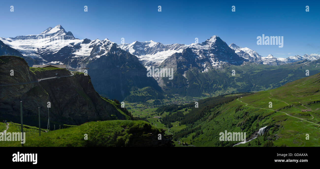 Schweiz. Berner Oberland. Juli 2016Walking von FIRST über Grindelwald in den Schweizer Alpen im Berner Oberland zum See Stockfoto