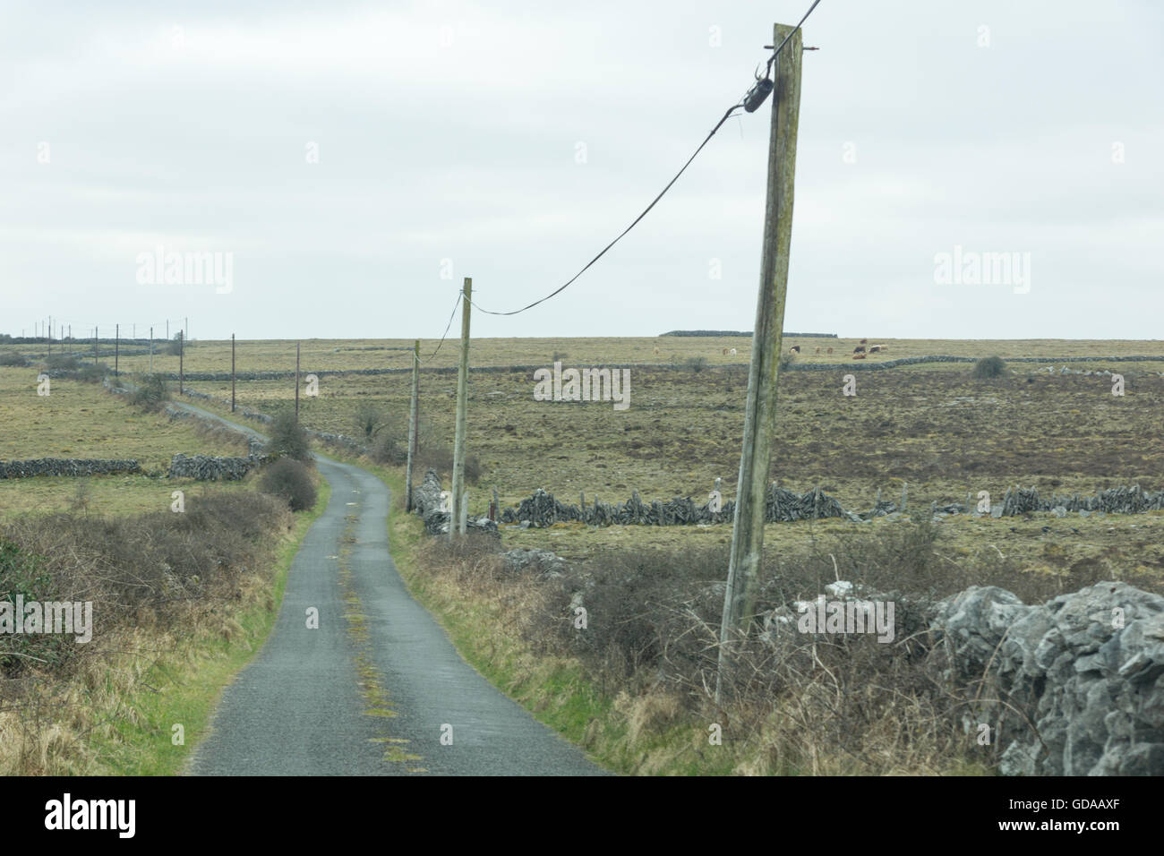 Irland, County Clare, Straße in Irland bei Meggagh Stockfoto