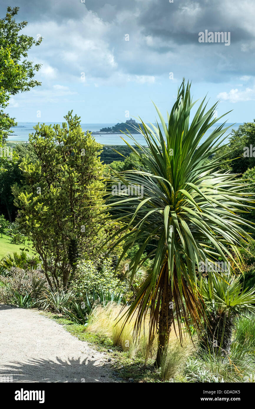 Einen spektakulären Blick auf St Michaels Mount aus Tremenheere Skulpturengärten in Cornwall. Stockfoto