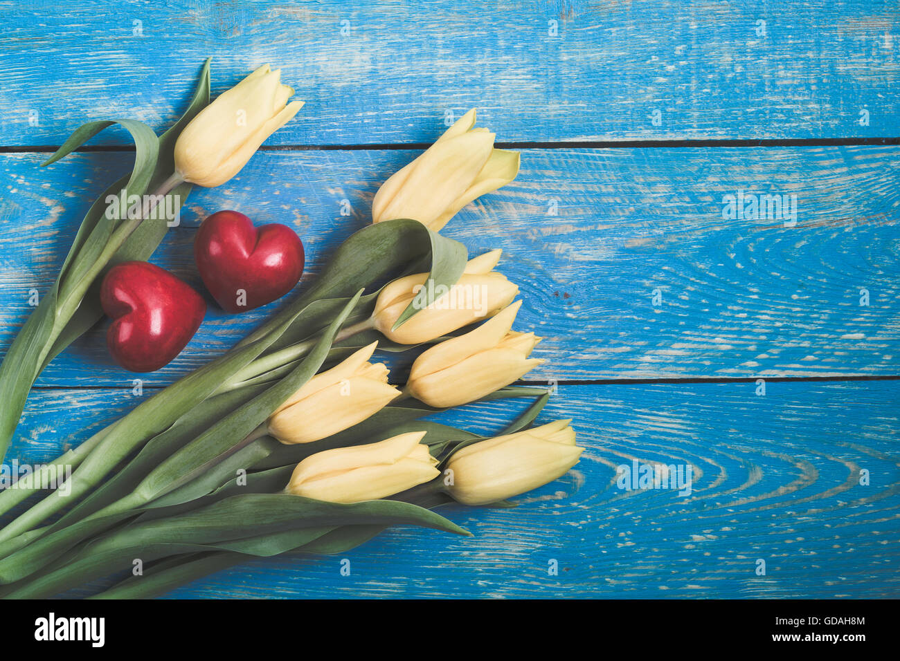 Gelbe Tulpen und zwei roten dekorativen Stein Herzen auf einem blauen rustikalen Holztisch mit Textfreiraum, Retro-Töne Stockfoto