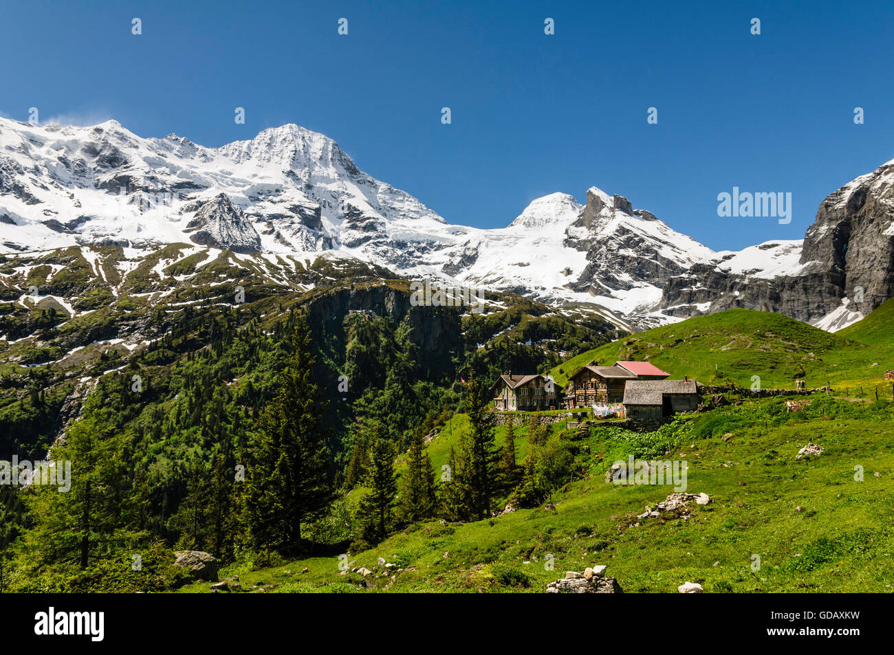 Alp und Restaurant Obersteinberg im Tal sogenannten, Berner Oberland, Schweiz. Im Hintergrund die Berge Stockfoto