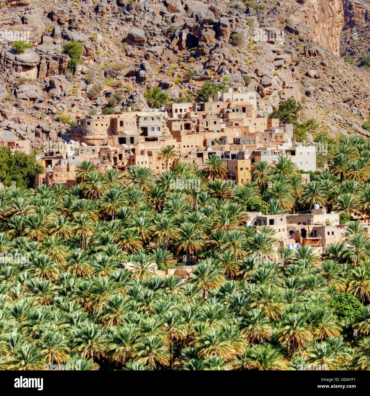 Misfah, Dorf in den Bergen von Oman Stockfoto