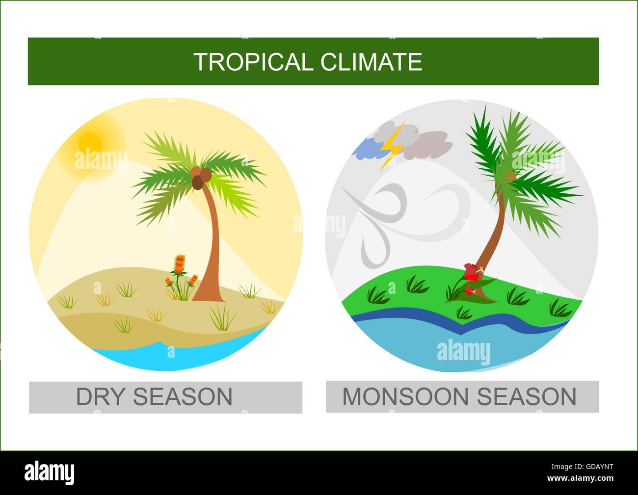 Runde Illustrationen für tropisches Klima trocken und nass Monsun-Saison Stock Vektor