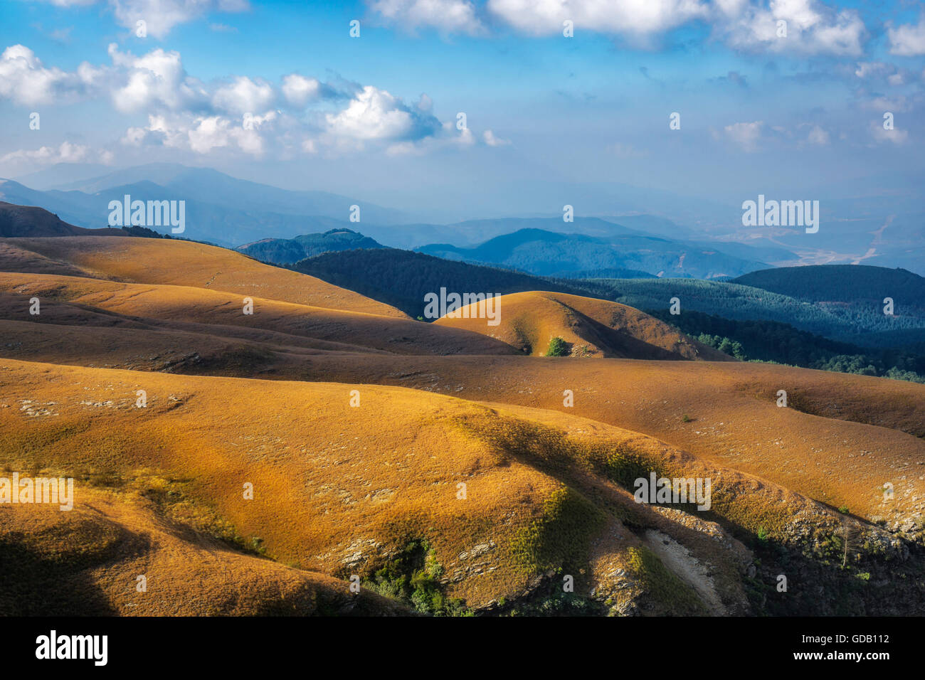 Landschaft von den Long Tom Pass mit seinen sanften Hügeln in Südafrika Stockfoto