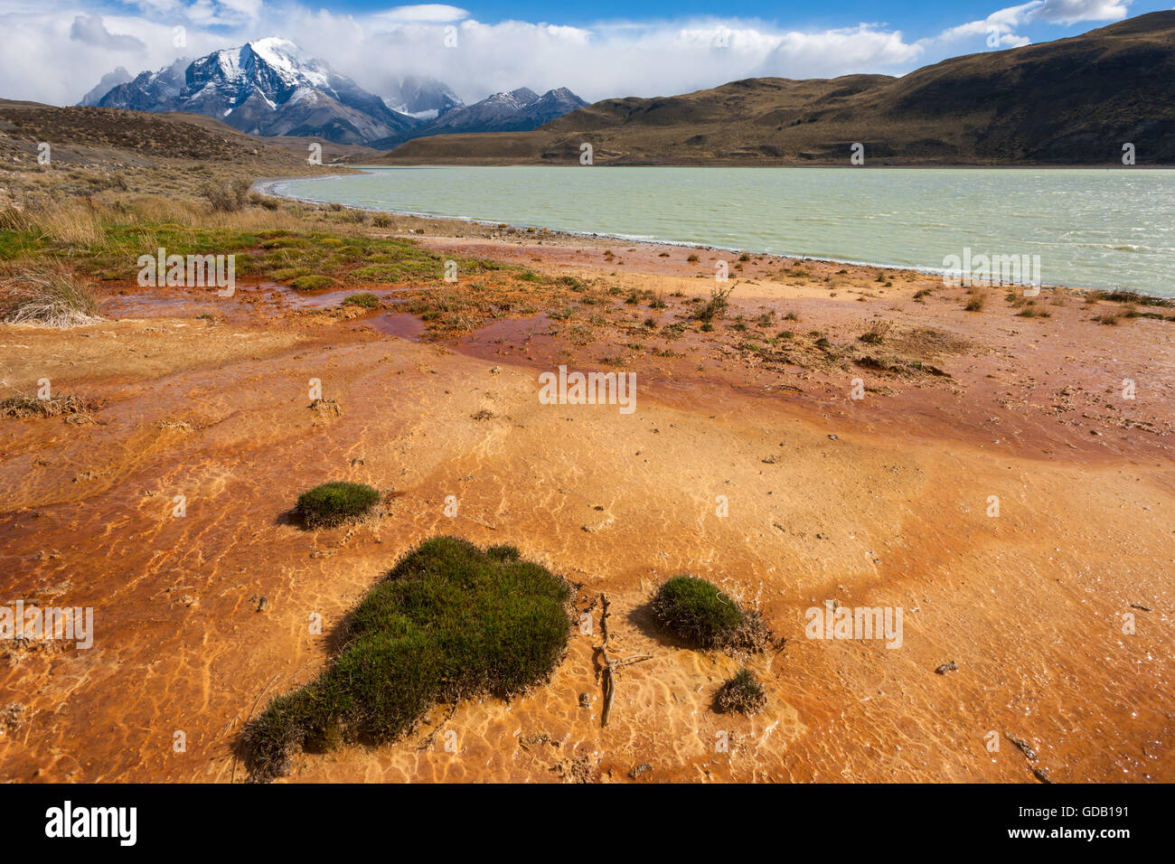 Laguna Amarga, Chile, Patagonien Stockfoto