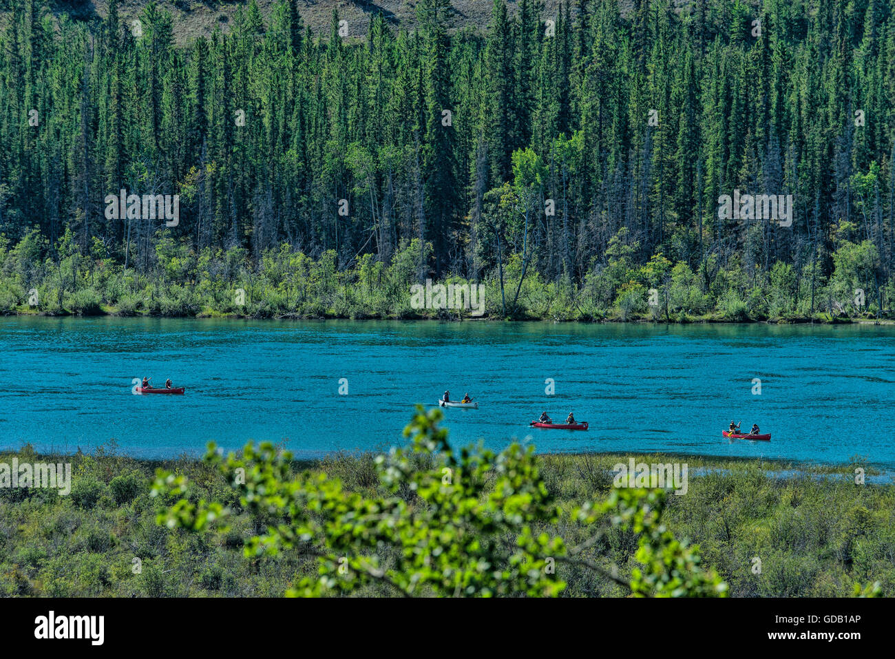 Kanuten am Yukon River, Kanada Stockfoto