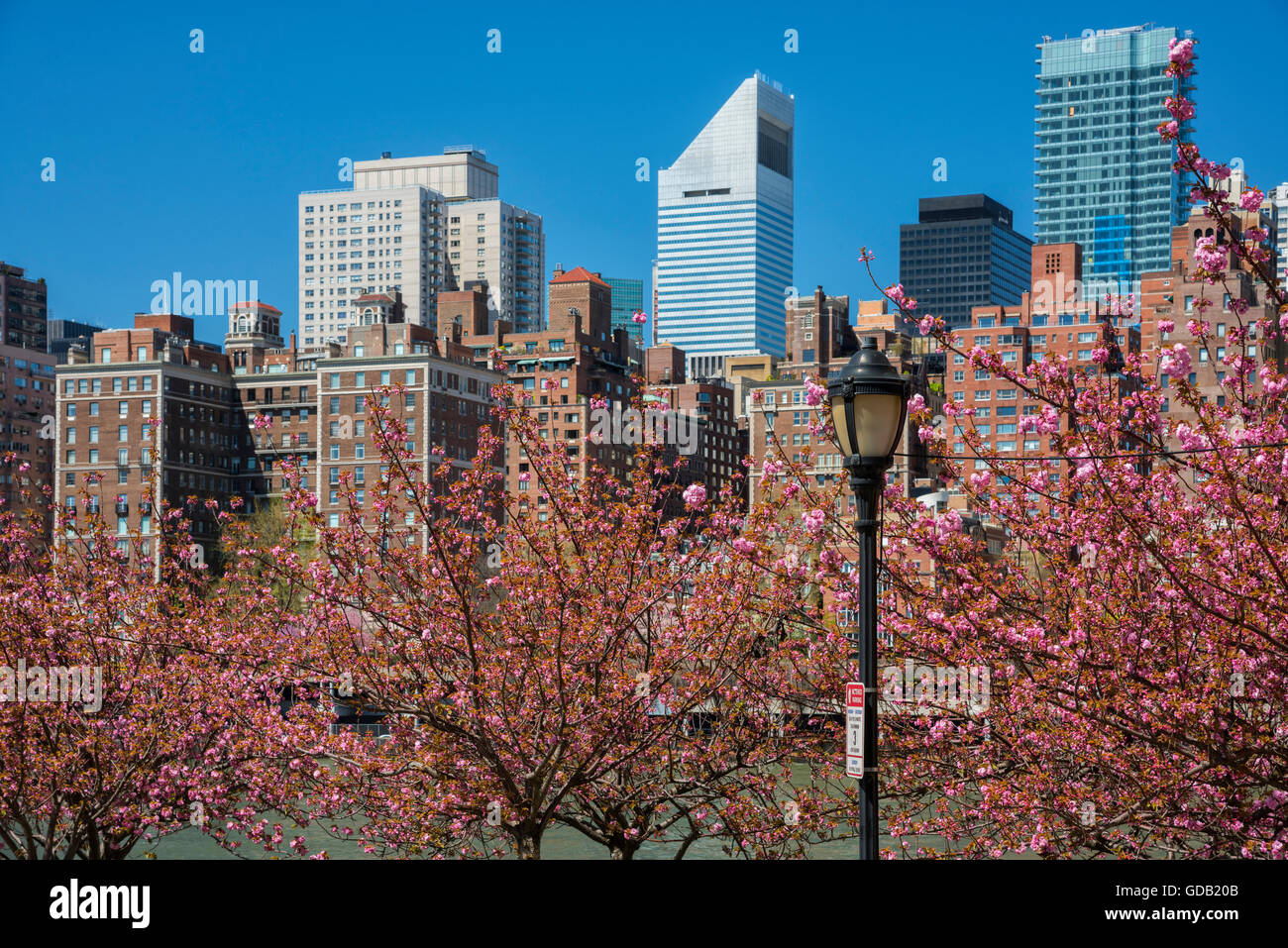 USA, Ostküste, New York, Midtown East River, Roosevelt Island Blick auf Midtown New York Stockfoto