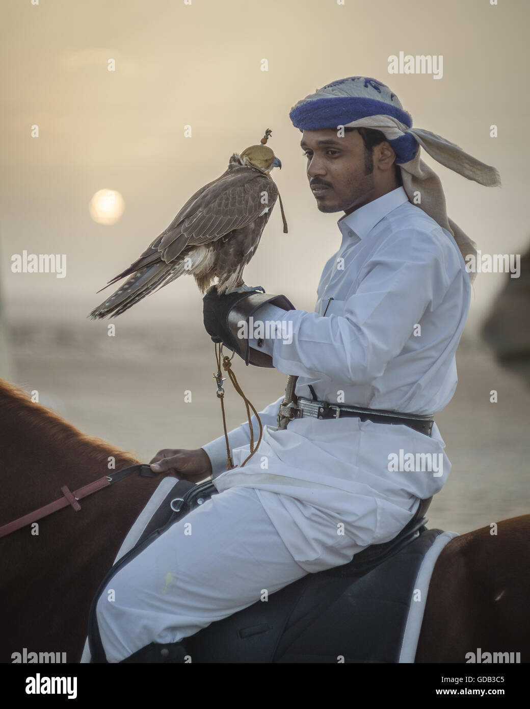 Ein Jäger auf dem Pferd mit seinen Falken im Morgengrauen während des Al-Galayel-Jagd-Festivals in Katar montiert. Die jährliche Veranstaltung Gruben Jäger-Teams gegen einander mit traditionellen arabischen Jagdtechniken. Stockfoto