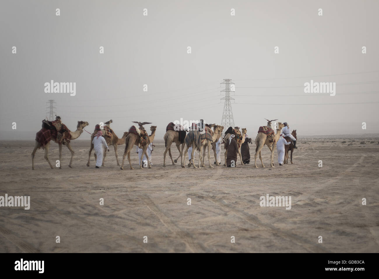 Eine arabische Jagdgesellschaft legt im Morgengrauen während des Al-Galayel-Jagd-Festivals in Katar. Die jährliche Veranstaltung Gruben Jäger-Teams gegen einander mit traditionellen arabischen Jagdtechniken. Stockfoto